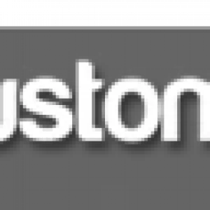 Custom NPCs